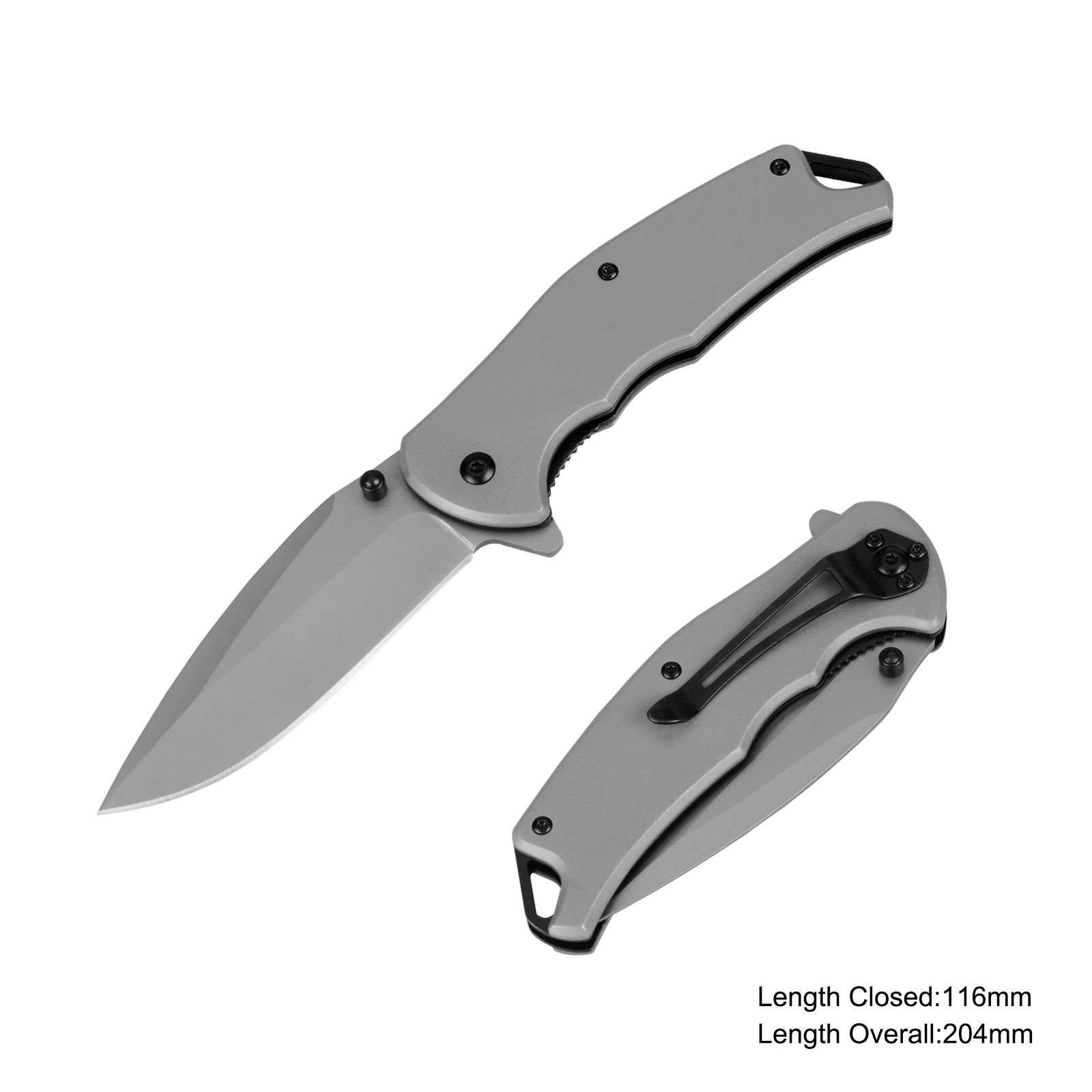 #31181 Folding Knife with Titanium Coating