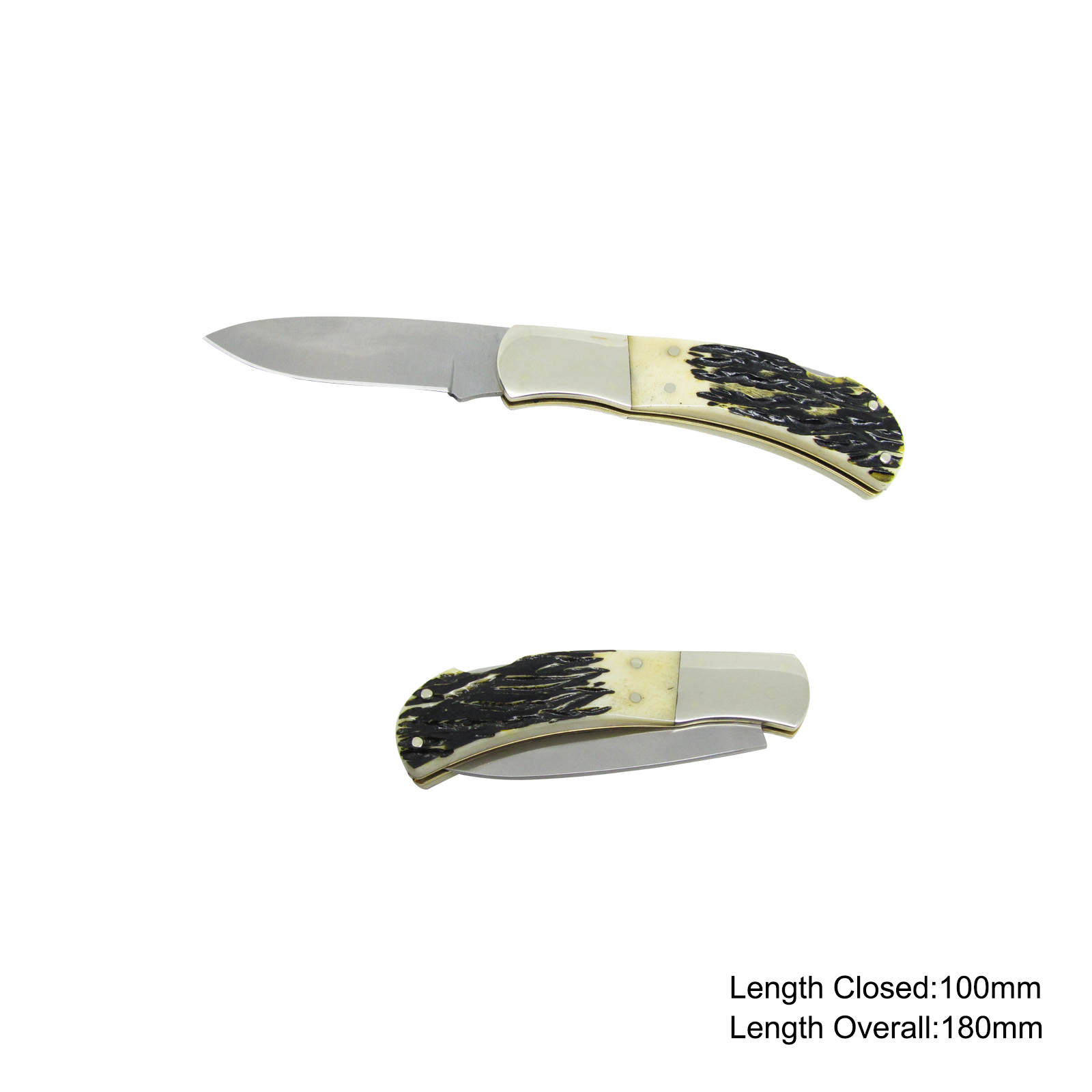 #3720 Folding Knife with Ox Bone Handle
